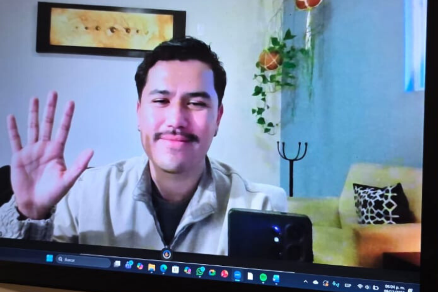 Sesión de Terapia en Línea